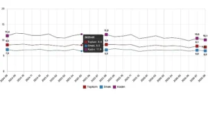 İşgücü İstatistikleri, Ağustos 2026