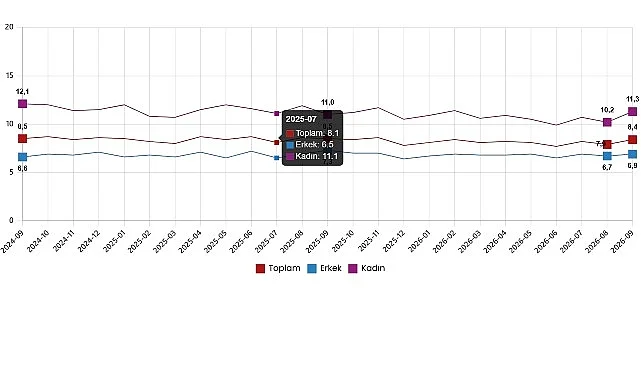 İşgücü İstatistikleri, Eylül 2026