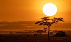 National Geographic NOW Seç-İzle Servisinin Ekim Ayı Teması ‘Afrika’!